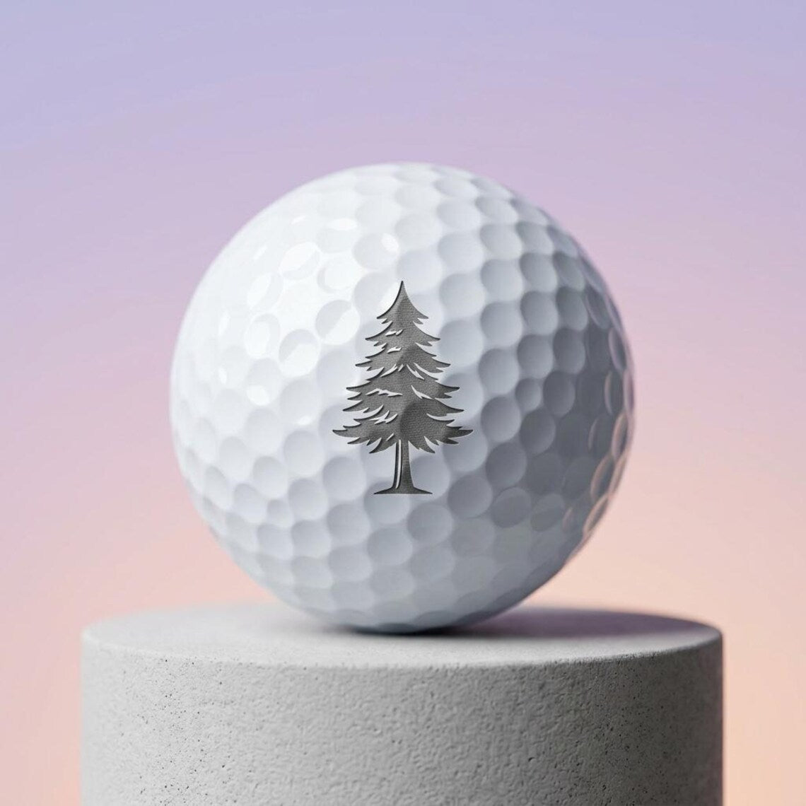 Personalized Golf Balls Pack of 2 Premium 4 Piece Construction Gift for Dad Custom Engraved